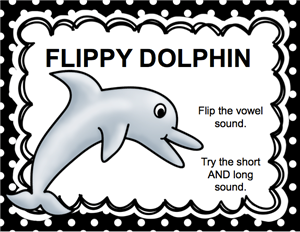 Flippy Dolphin 